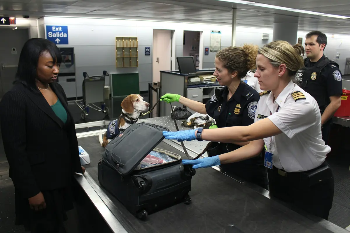 Sharing 4 Important Guidelines with Your Travel Clients to Navigate Airport Security for a Smoother Journey.