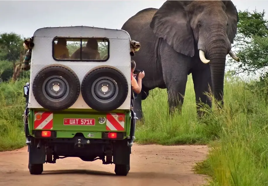 Alakara Tours.webp