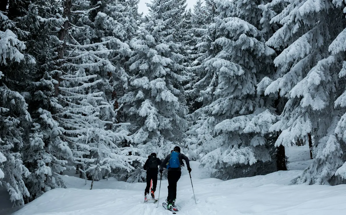 Alps Skiing.webp