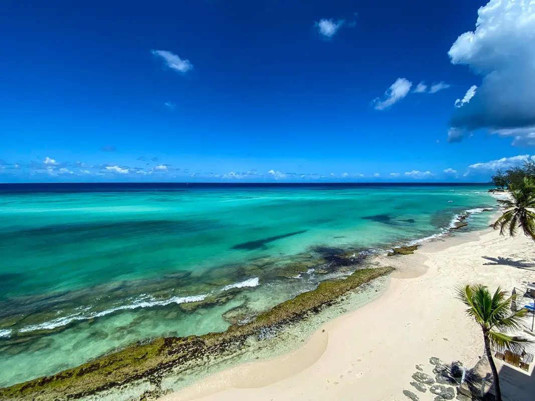 Barbados Beach.webp