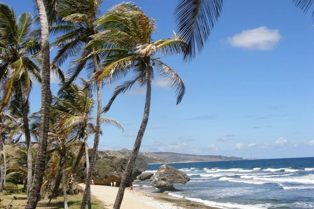 Barbados.webp