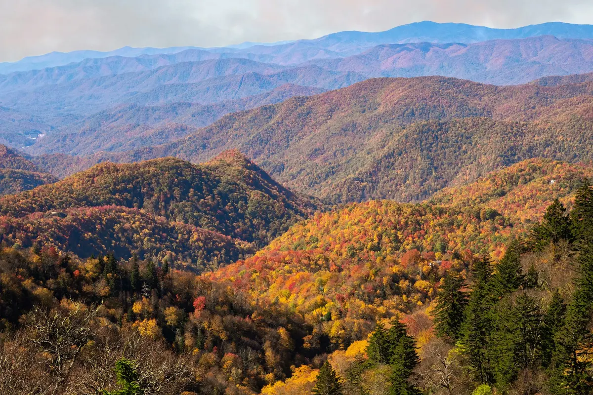 Blue Ridge Mountains Fall.webp