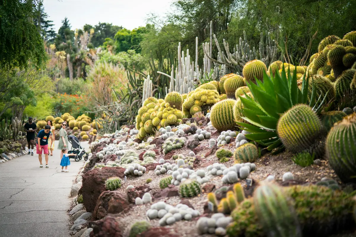 CA Botanical Gardens.webp