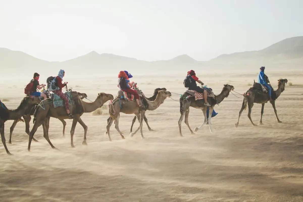 Desert Tours.webp