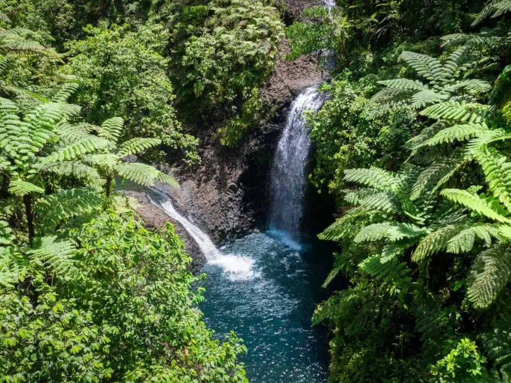 Fiji Taveuni 2.webp