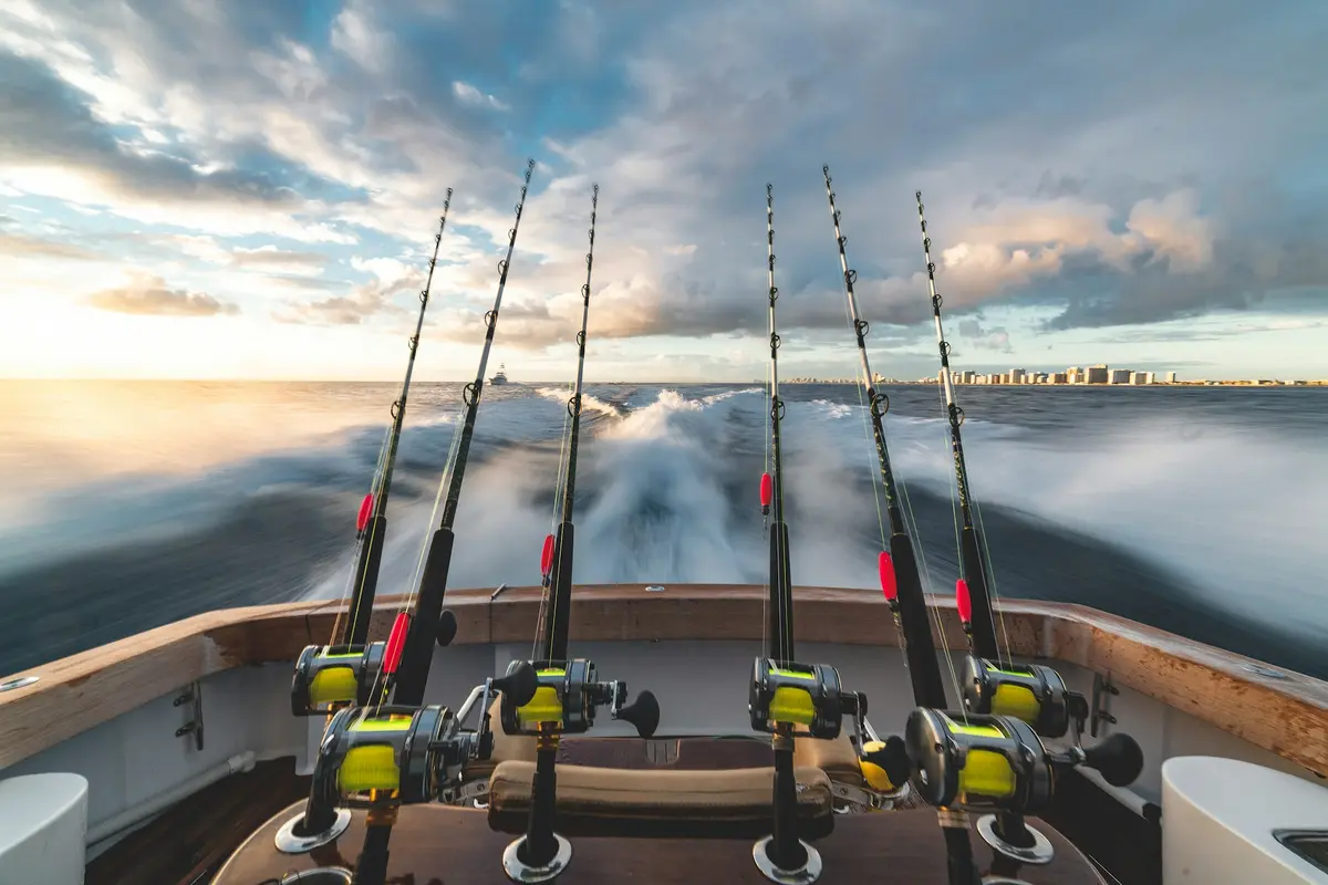 Fishing Tours 2.webp