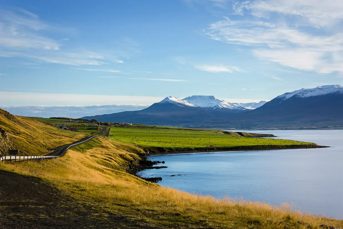 Iceland.webp