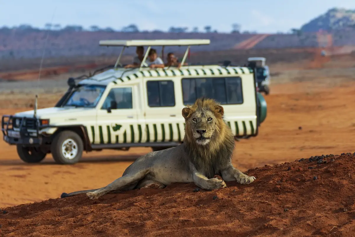 Africa: Visiting Kenya The Timeless Safari Destination for Travellers