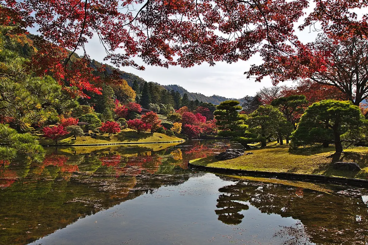 Kyoto Surrounds.webp