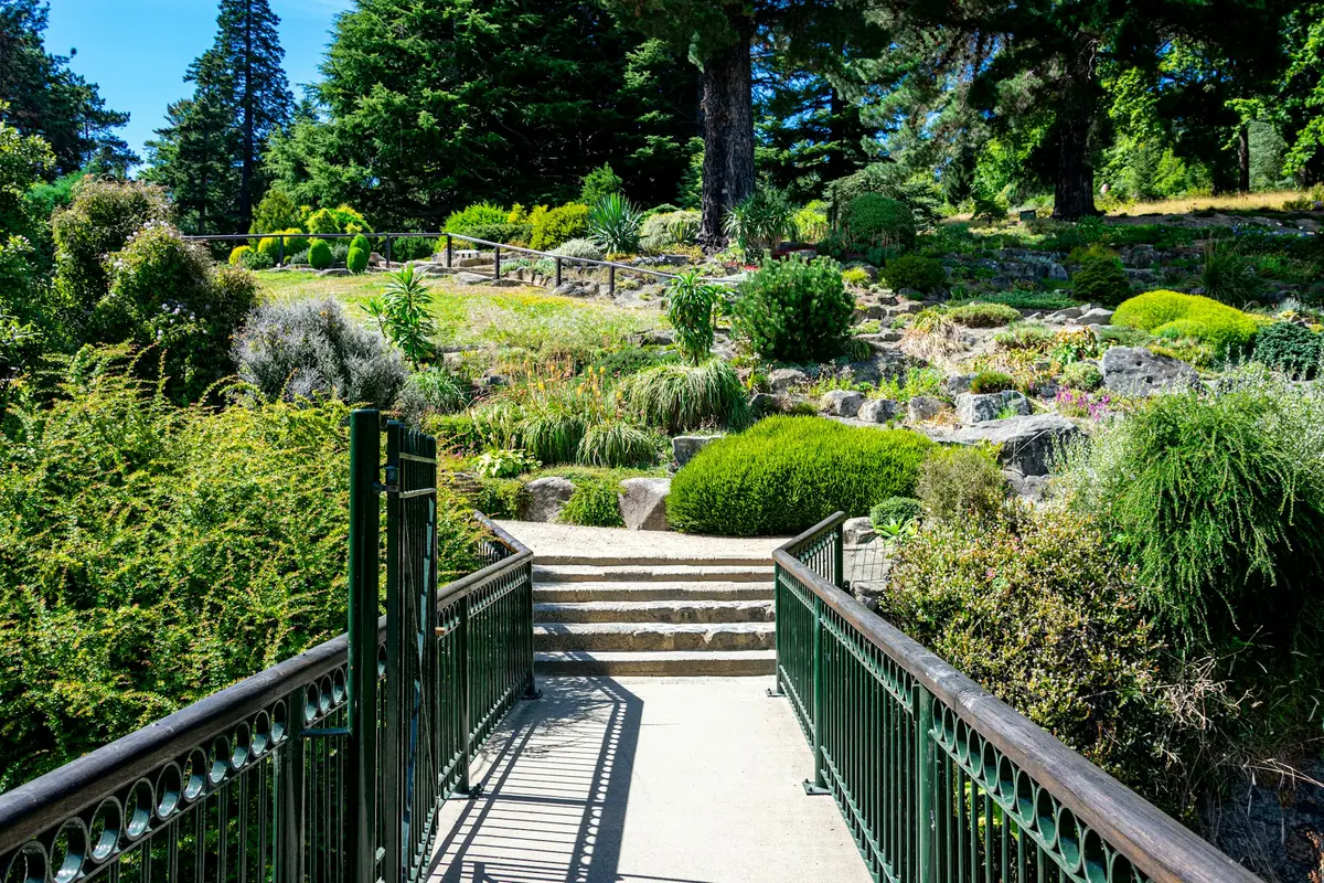 Unearthing Earth's Green Gems: A Travel Advisor's Guide to Botanical Garden Tourism