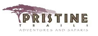 pristine trails.webp