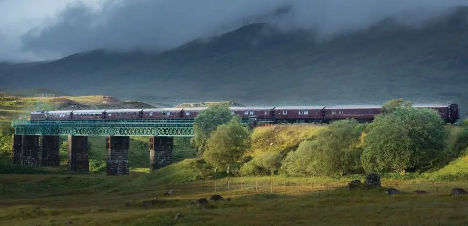 Royal Scotsman.webp