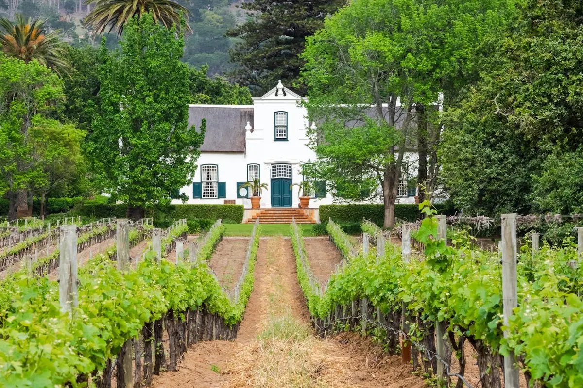 Plan Incredible Cape Wine-lands Experiences for Wine-Loving Travellers: A Guide to Paarl's Red Route + Tour Example