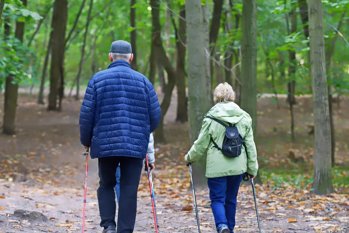 Seniors hiking.webp