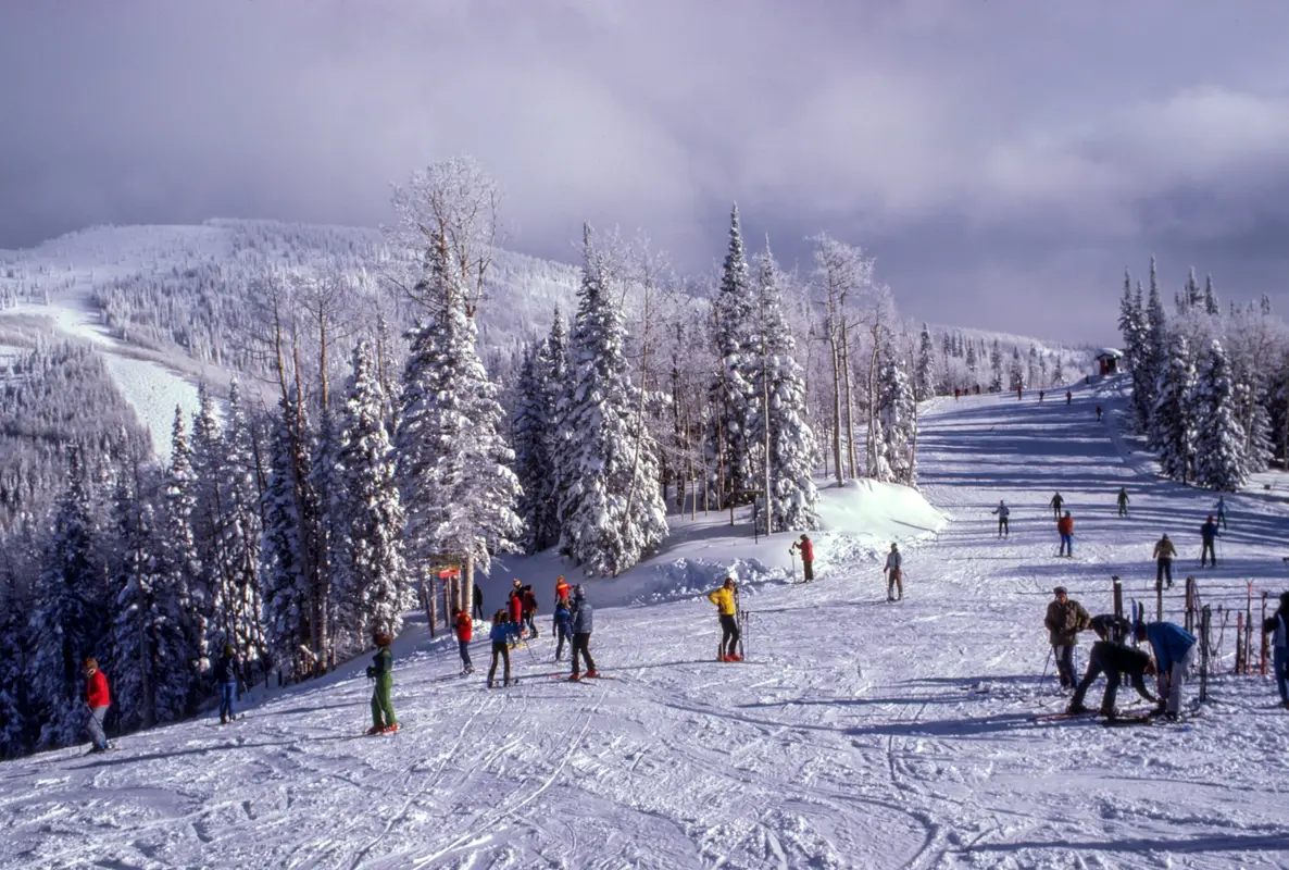 Ski Holidays 2.webp