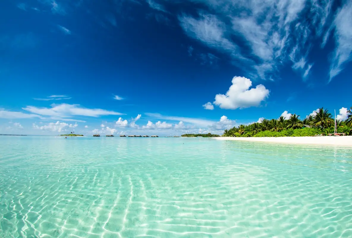 SP Maldives.webp