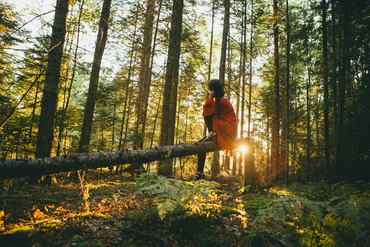 Sustainable Tourism.webp