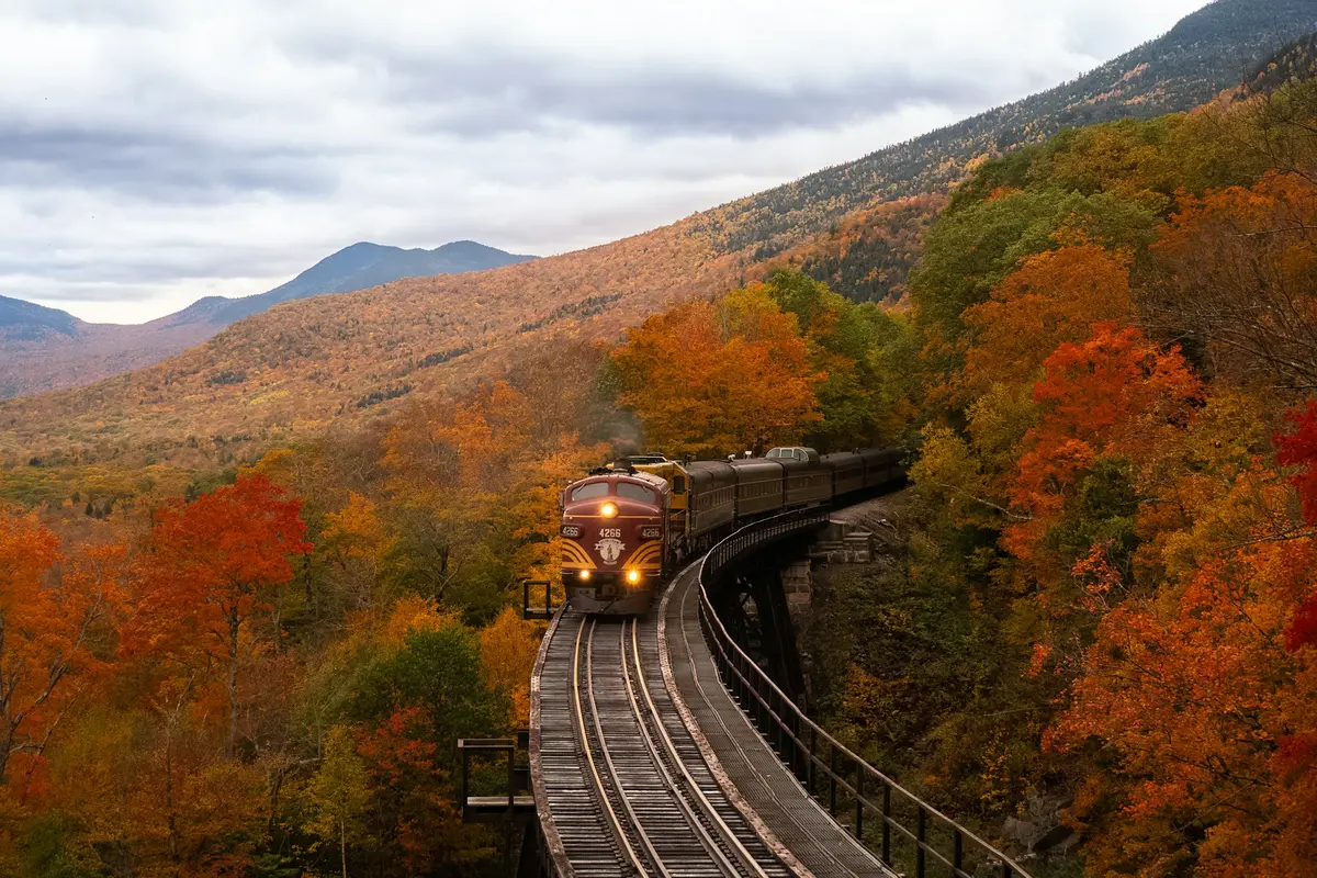 Train Travel.webp
