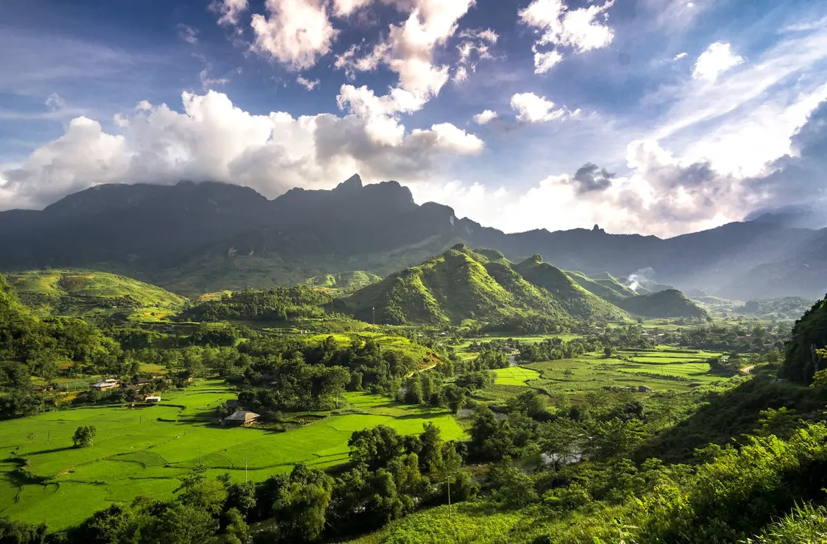 Vietnam.webp
