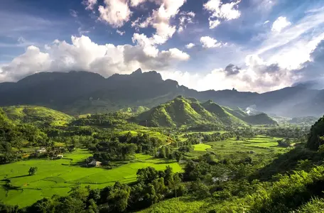 Vietnam.webp