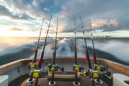 Fishing Tours 2.webp