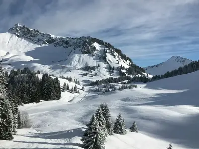 Alps France.webp