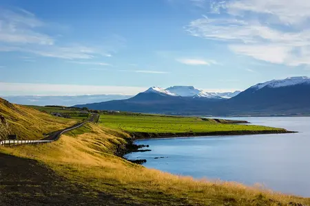 Iceland.webp