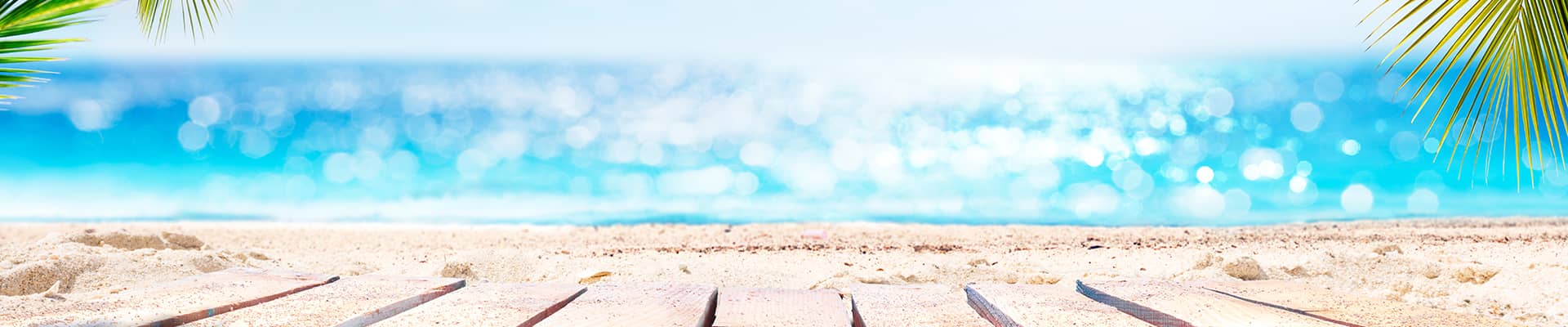 Beach and sea surrounded by palm trees