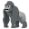 🦍 🦍